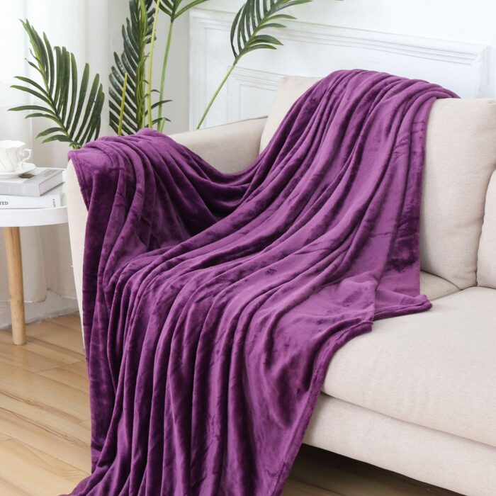 Fleece Throw Soft Fluffy Velvet Blanket - beddingbag.com