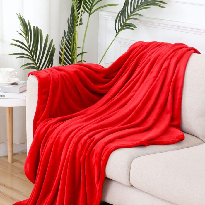 Fleece Throw Soft Fluffy Velvet Blanket - beddingbag.com