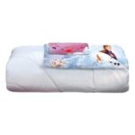 Disney Frozen 2 Kids Comforter and Sham 2-Piece Set Twin/Full Reversible - beddingbag.com